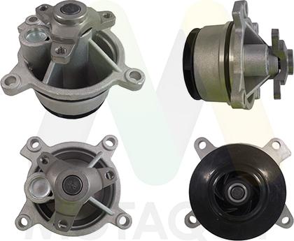 Motaquip LVWP1138 - Водяний насос autocars.com.ua