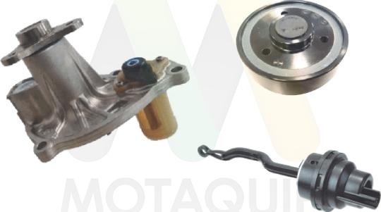 Motaquip LVWP1144V - Водяний насос autocars.com.ua