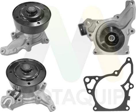 Motaquip LVWP1155 - Водяний насос autocars.com.ua