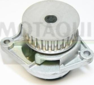 Motaquip VWP751 - Водяний насос autocars.com.ua