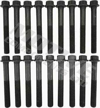 MOTIVE HB4196SET - Комплект болтів головки циліндрів autocars.com.ua