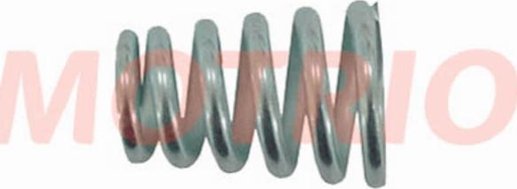 MOTRIO 8660000039 - Пружина, труба вихлопного газу autocars.com.ua