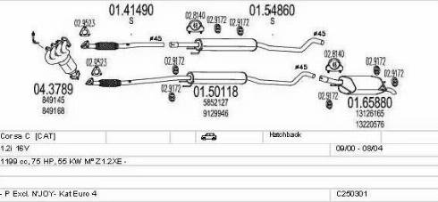 MTS C250301005437 - Система выпуска ОГ avtokuzovplus.com.ua