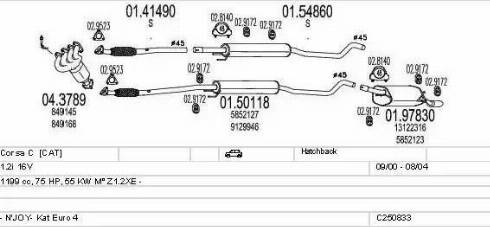 MTS C250833005019 - Система выпуска ОГ avtokuzovplus.com.ua