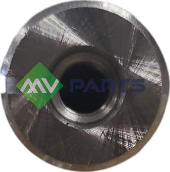 MV Parts MV K3079S - Шток autocars.com.ua