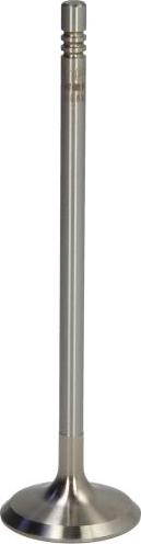 NE 147007000800 - Впускний клапан autocars.com.ua