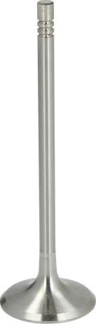 NE 147011000100 - Впускний клапан autocars.com.ua