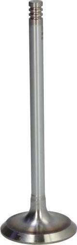 NE 147038001200 - Впускний клапан autocars.com.ua