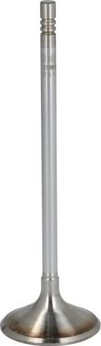 NE 147039000000 - Впускний клапан autocars.com.ua