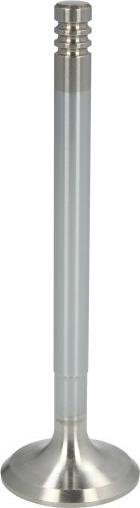 NE 148021000600 - Випускний клапан autocars.com.ua