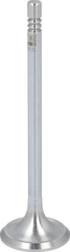 NE 148037002300 - Випускний клапан autocars.com.ua