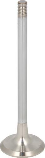 NE 148038001200 - Випускний клапан autocars.com.ua