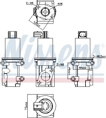 Nissens 98185 - Клапан повернення ОГ autocars.com.ua