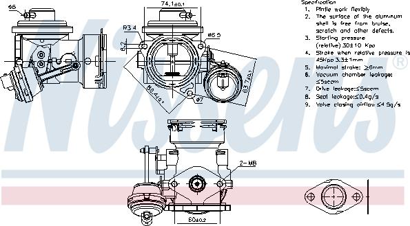 Nissens 98300 - Клапан повернення ОГ autocars.com.ua