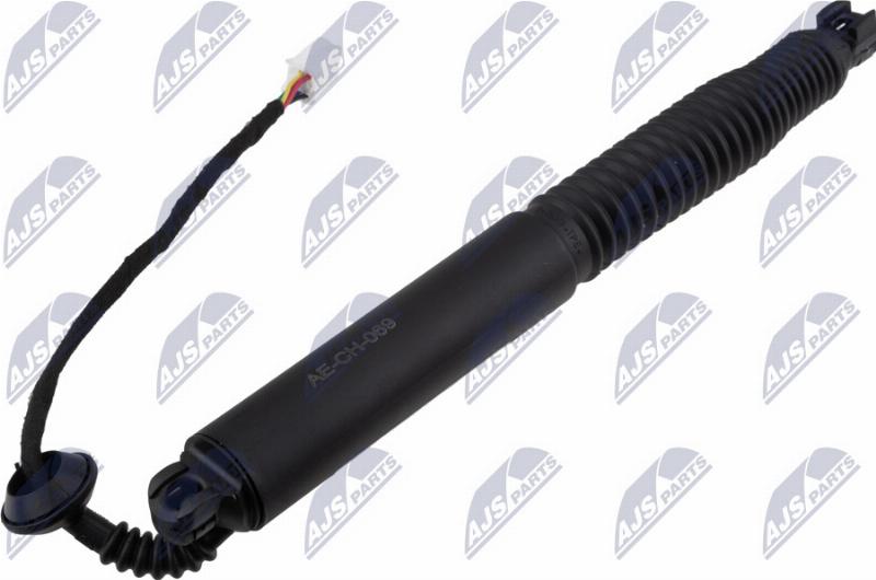 NTY AE-CH-069 - Електромотор, задні двері autocars.com.ua