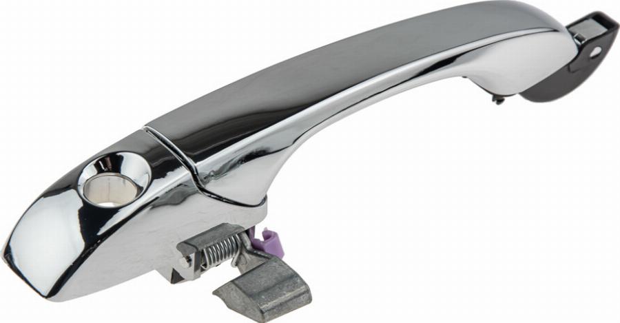 NTY EZC-CH-040 - Ручка двері autocars.com.ua
