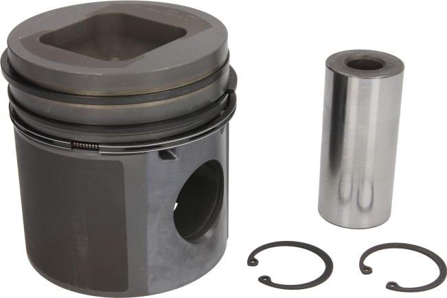 Nüral 87-325600-10 - Поршень autocars.com.ua