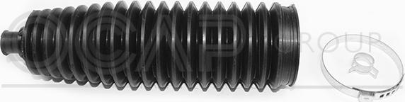 OCAP 0905996 - Комплект пилника, рульове управління autocars.com.ua