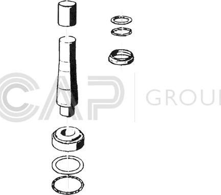 OCAP 0927453 - Ремкомплект, шкворень поворотного кулака autodnr.net