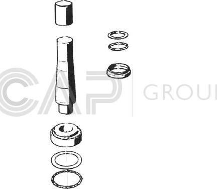 OCAP 0927454 - Ремкомплект, шкворень поворотного кулака autodnr.net