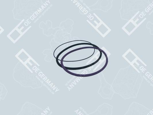 OE Germany 03 0111 100000 - Комплект прокладок, гільза циліндра autocars.com.ua