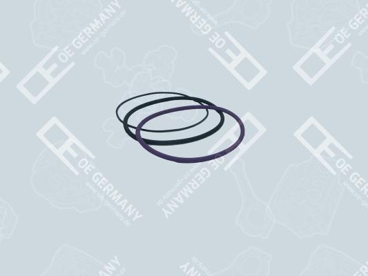 OE Germany 03 0111 101000 - Комплект прокладок, гільза циліндра autocars.com.ua