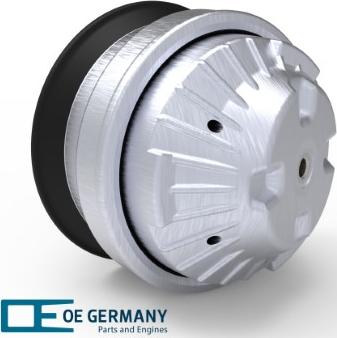 OE Germany 800138 - Подушка, підвіска двигуна autocars.com.ua