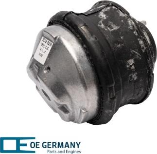 OE Germany 800843 - Подушка, підвіска двигуна autocars.com.ua