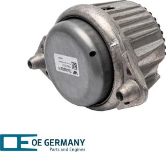 OE Germany 800869 - Подушка, підвіска двигуна autocars.com.ua