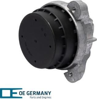 OE Germany 801006 - Подушка, опора, подвеска двигателя avtokuzovplus.com.ua