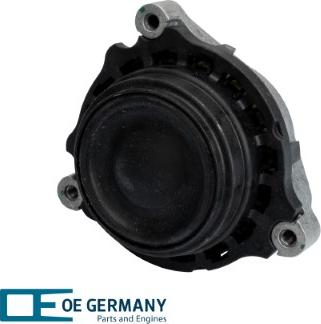 OE Germany 801013 - Подушка, підвіска двигуна autocars.com.ua
