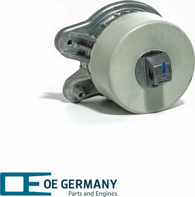 OE Germany 801020 - Подушка, підвіска двигуна autocars.com.ua