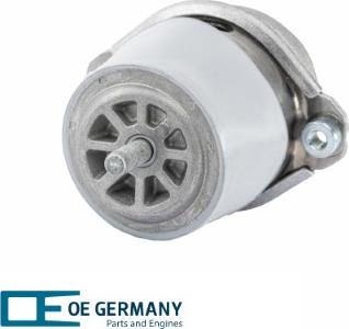 OE Germany 801035 - Подушка, підвіска двигуна autocars.com.ua