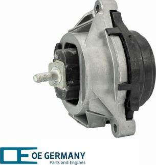 OE Germany 801037 - Подушка, підвіска двигуна autocars.com.ua