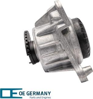 OE Germany 801164 - Подушка, підвіска двигуна autocars.com.ua