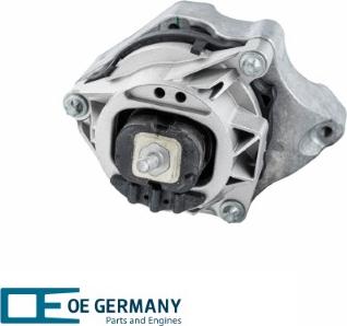 OE Germany 801213 - Подушка, підвіска двигуна autocars.com.ua