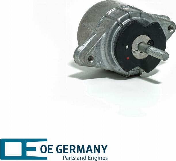 OE Germany 801387 - Подушка, підвіска двигуна autocars.com.ua