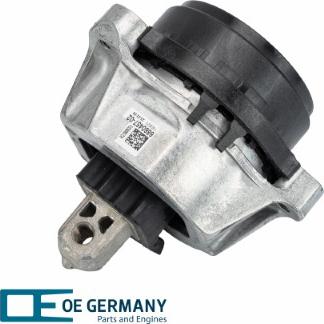 OE Germany 802564 - Подушка, підвіска двигуна autocars.com.ua