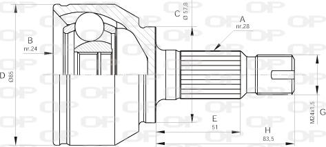 Open Parts CVJ5567.10 - Шарнірний комплект, ШРУС, приводний вал autocars.com.ua