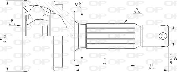 Open Parts CVJ5578.10 - Шарнірний комплект, ШРУС, приводний вал autocars.com.ua