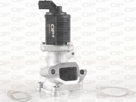 Open Parts EGR3025.00 - Клапан повернення ОГ autocars.com.ua