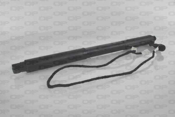 Open Parts GSE7008.01 - Електромотор, задні двері autocars.com.ua