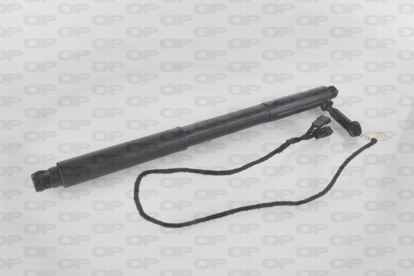 Open Parts GSE7008.10 - Електромотор, задні двері autocars.com.ua