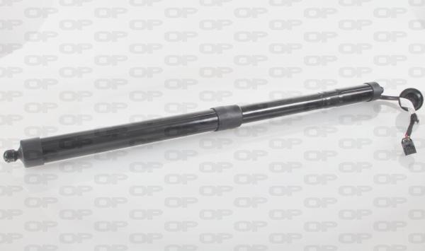 Open Parts GSE7025.01 - Електромотор, задні двері autocars.com.ua