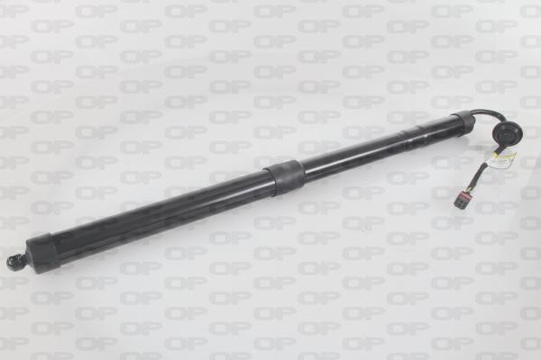 Open Parts GSE7025.10 - Електромотор, задні двері autocars.com.ua