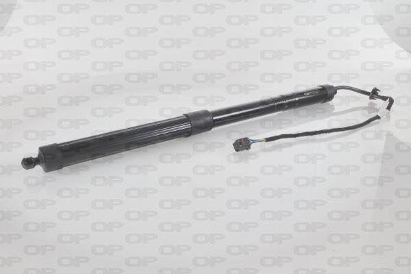 Open Parts GSE7027.00 - Електромотор, задні двері autocars.com.ua