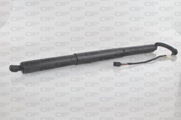 Open Parts GSE7029.00 - Електромотор, задні двері autocars.com.ua