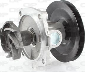 Open Parts WAP8096.00 - Водяний насос autocars.com.ua