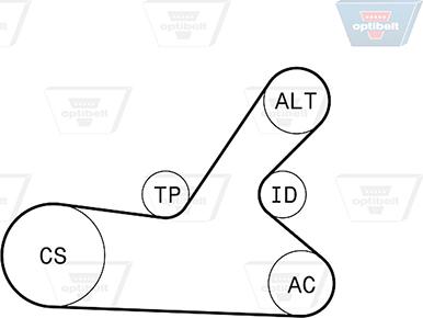 Optibelt 6 PK 1145KT2 - Поликлиновий ремінний комплект autocars.com.ua