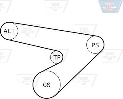 Optibelt 6 PK 1725KT2 - Поликлиновый ременный комплект autodnr.net